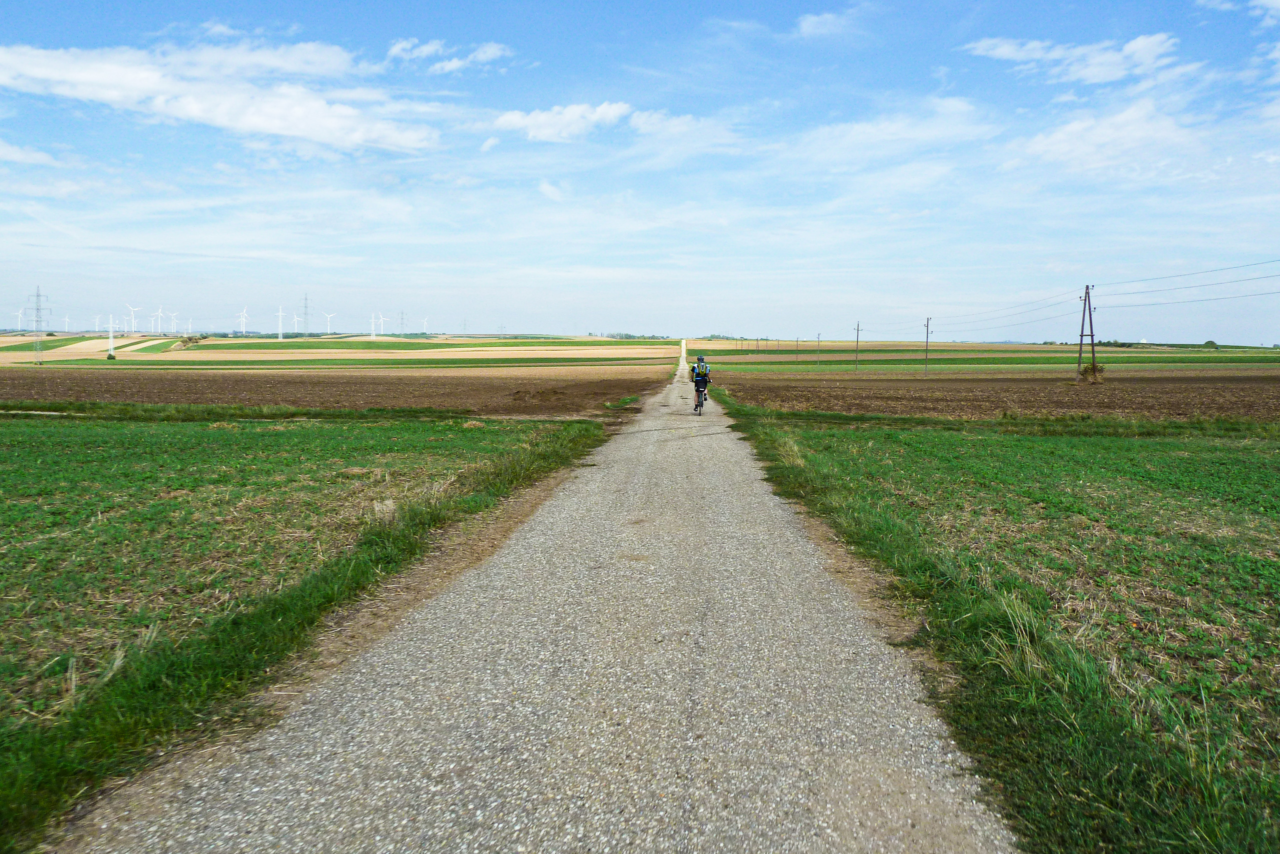 Schnurgerader Feldweg, Windräder am Horizont